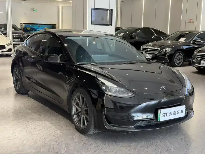 Model 3 2022 Model Rear-wheel drive version – фото 3