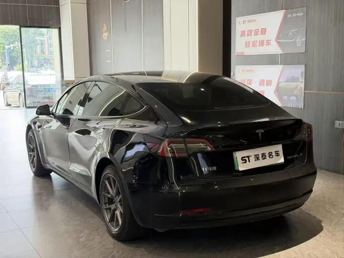 Model 3 2022 Model Rear-wheel drive version – фото 4