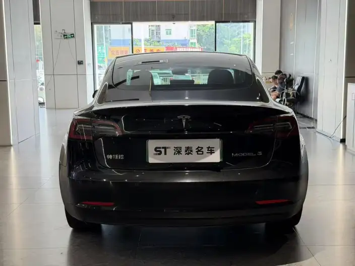 Model 3 2022 Model Rear-wheel drive version – фото 5