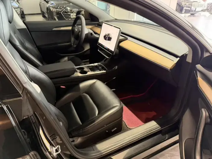 Model 3 2022 Model Rear-wheel drive version – фото 7