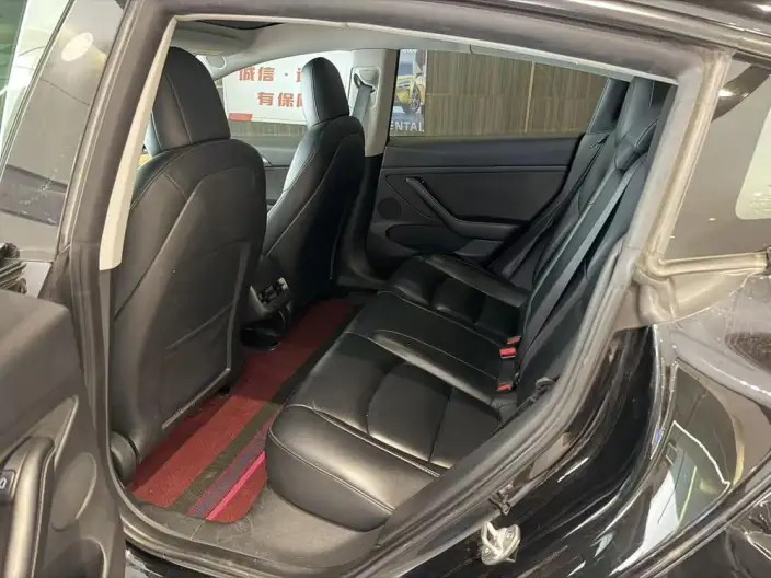 Model 3 2022 Model Rear-wheel drive version – фото 10
