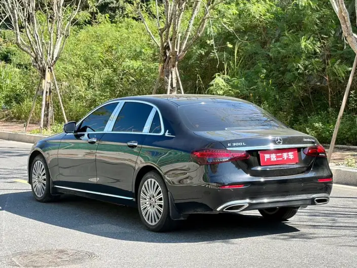 Mercedes-Benz E-Class 2023 Model E 300 L Luxury Model sedan – фото 4