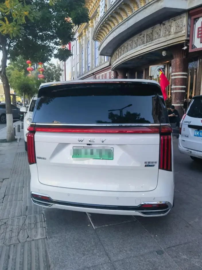 Wey Gaoshan P HEV 2023 Model 4WD Ultimate Edition – фото 4