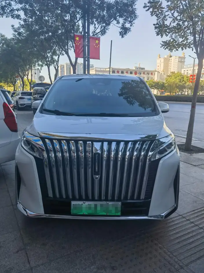 Wey Gaoshan P HEV 2023 Model 4WD Ultimate Edition – фото 6