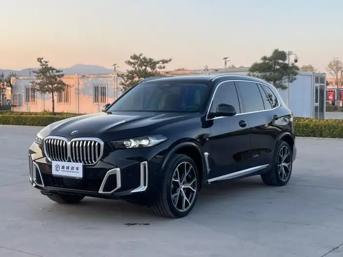BMW X5 2023 Model xDrive30Li Exclusive Model M Sports Set – фото 1