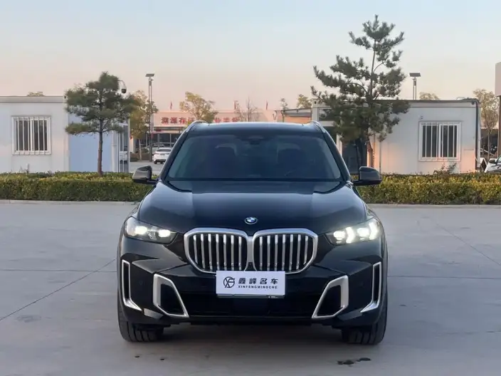 BMW X5 2023 Model xDrive30Li Exclusive Model M Sports Set – фото 2