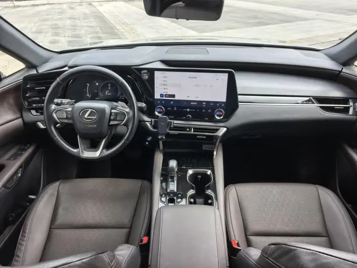 Lexus RX PHEV 2023 Model 450h+ 4WD Changxiang Edition – фото 9