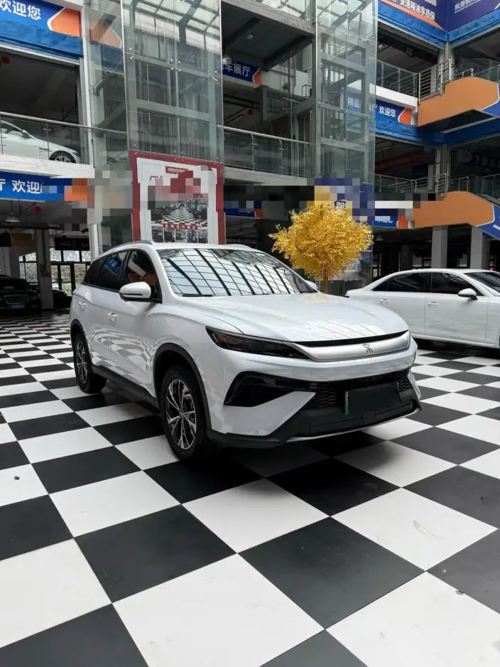 BYD Song Pro DM 2026 Model DM-i 133KM Enterprising Model – фото 3