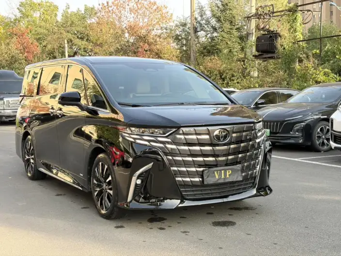 Elfa 2023 Model 2.5L Intelligent Hybrid 4WD Premium Edition – фото 3