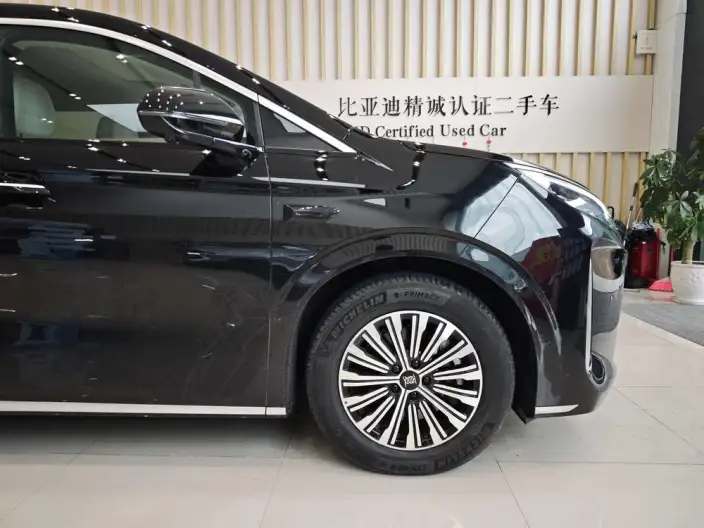 Xia 2025 Model DM-i 180KM Excellence Model – фото 8
