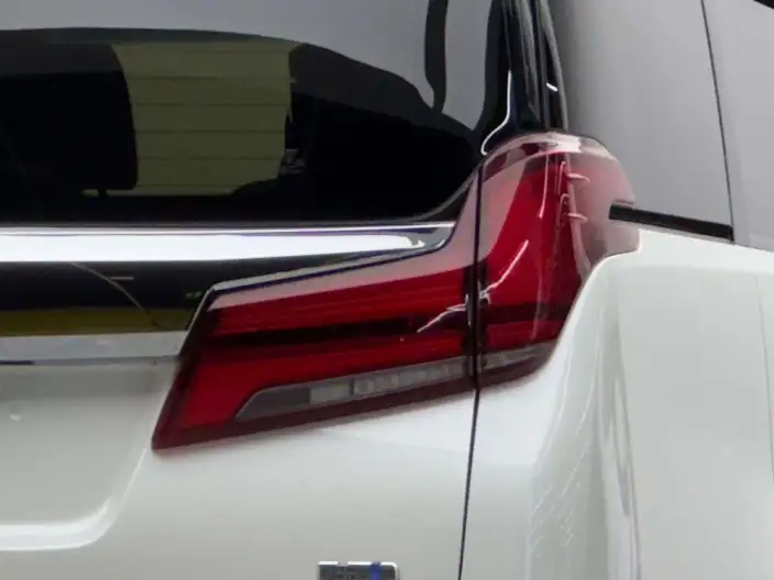 Elfa 2021 Model Hybrid 2.5L Deluxe Edition – фото 4