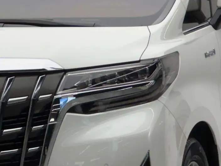 Elfa 2021 Model Hybrid 2.5L Deluxe Edition – фото 7