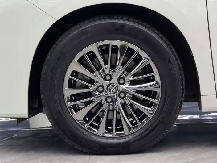 Elfa 2021 Model Hybrid 2.5L Deluxe Edition – фото 9