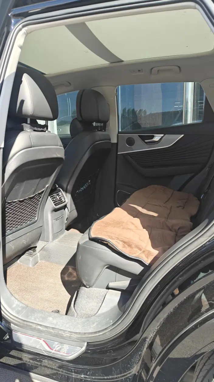 Hongqi HS5 2023 Model 2.0T Flag Xiang Pro Edition – фото 8
