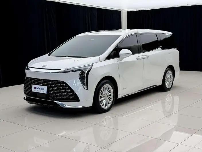 Century 2025 Model 2.0T VII seat Yunshi Edition – фото 1