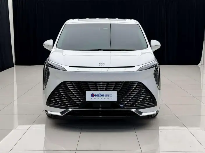Century 2025 Model 2.0T VII seat Yunshi Edition – фото 2