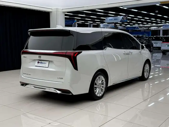 Century 2025 Model 2.0T VII seat Yunshi Edition – фото 4