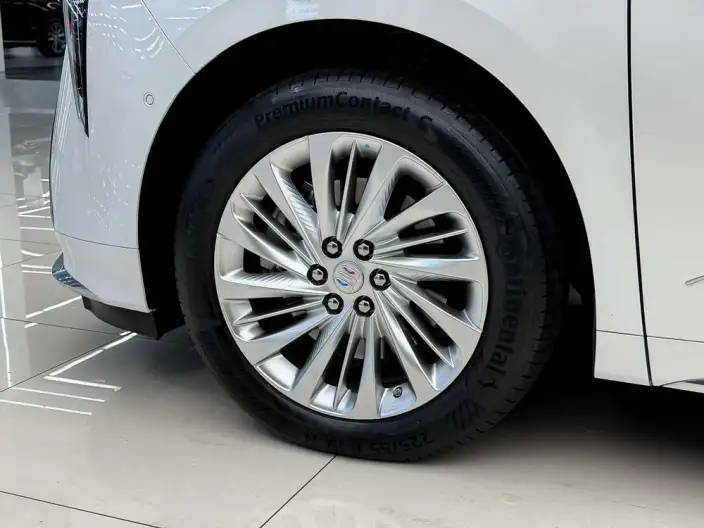 Century 2025 Model 2.0T VII seat Yunshi Edition – фото 5