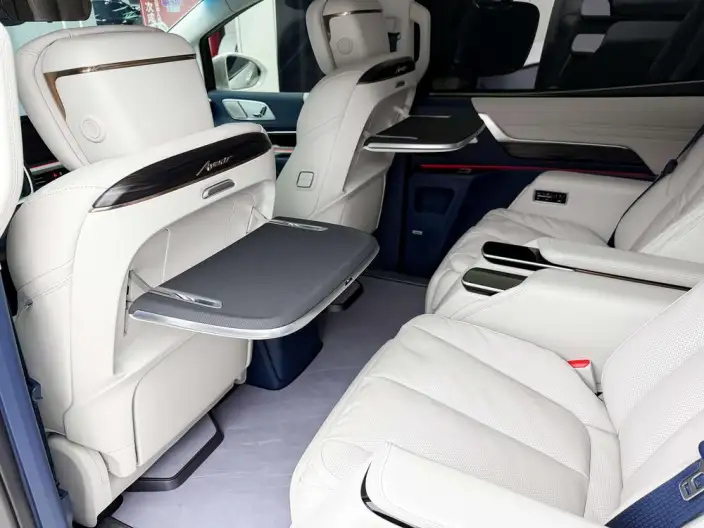 Century 2025 Model 2.0T VII seat Yunshi Edition – фото 7