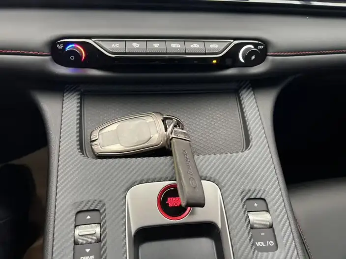 Emzoom 2023 Model 2.0L DHT Smart Hybrid version – фото 7