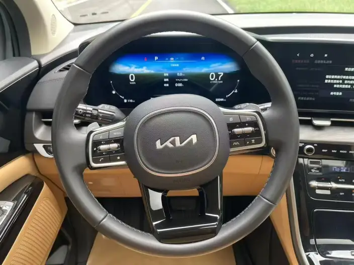 Jiahua 2021 Model 2.0T Luxury Technology Edition Model – фото 6
