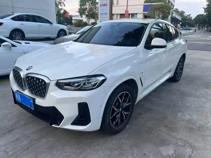 BMW X4 2022 Model xDrive 25i M Sports Set – фото 1