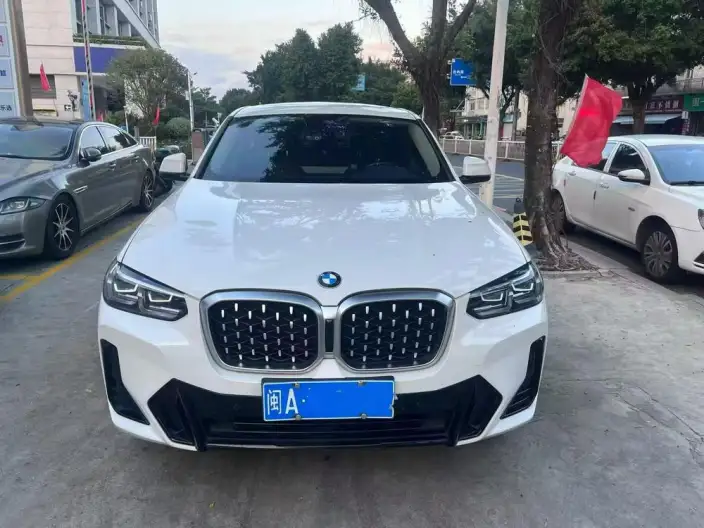 BMW X4 2022 Model xDrive 25i M Sports Set – фото 2