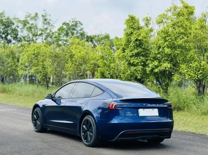 Model 3 2023 Model Long Battery Life Pro All-wheel drive version – фото 4
