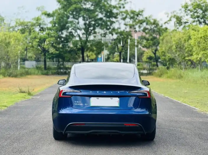 Model 3 2023 Model Long Battery Life Pro All-wheel drive version – фото 5