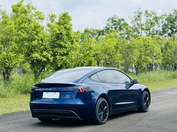 Model 3 2023 Model Long Battery Life Pro All-wheel drive version – фото 6