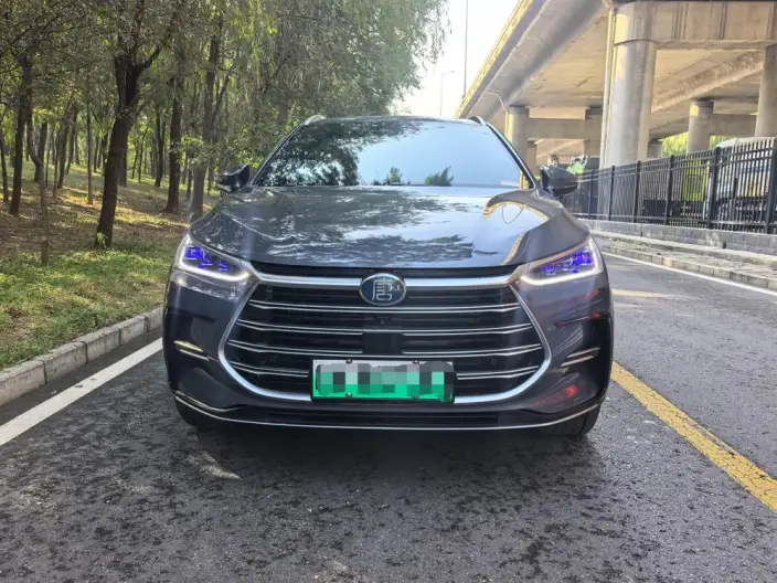 BYD Tang DM 2023 Model DM-i Champion Edition 112KM Exclusive Model – фото 2