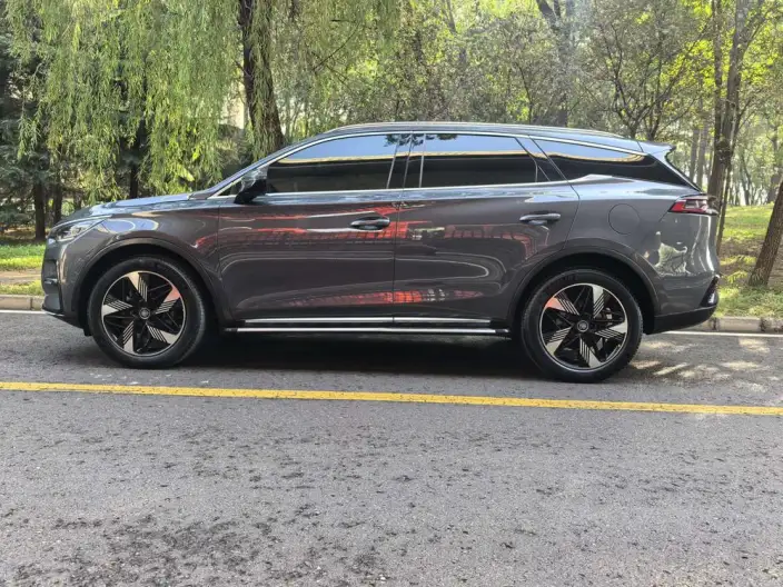 BYD Tang DM 2023 Model DM-i Champion Edition 112KM Exclusive Model – фото 4