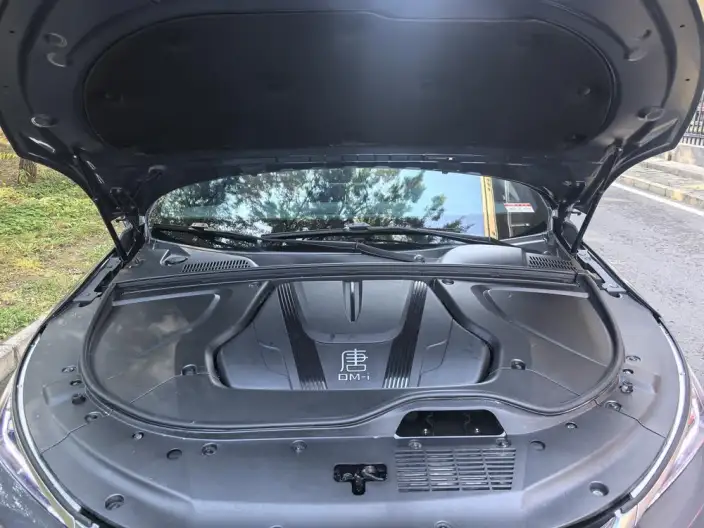 BYD Tang DM 2023 Model DM-i Champion Edition 112KM Exclusive Model – фото 8