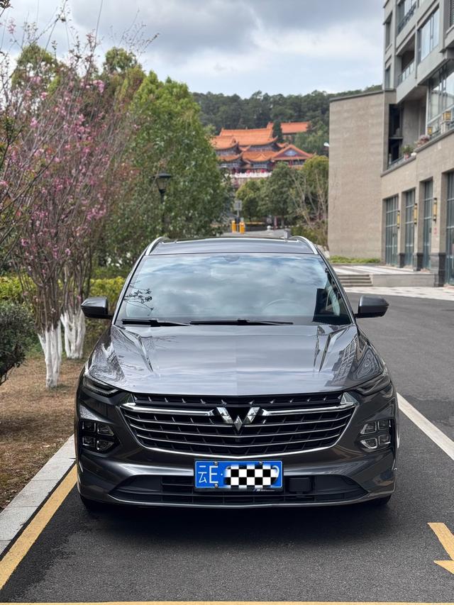 Wuling Capgemini Victory 2020 1.5T CVT Flagship – фото 2