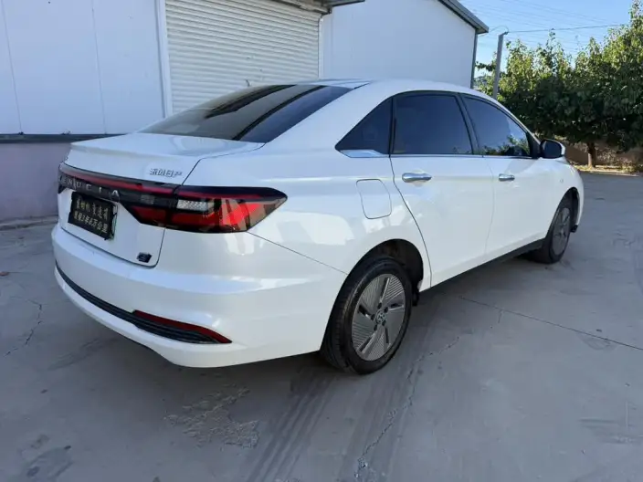 Venucia D60 EV 2022 Model PLUS RJ Model Zhixing Edition – фото 6