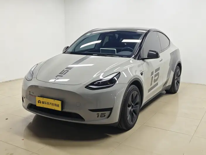 Model Y 2024 Model Rear-wheel drive version – фото 1