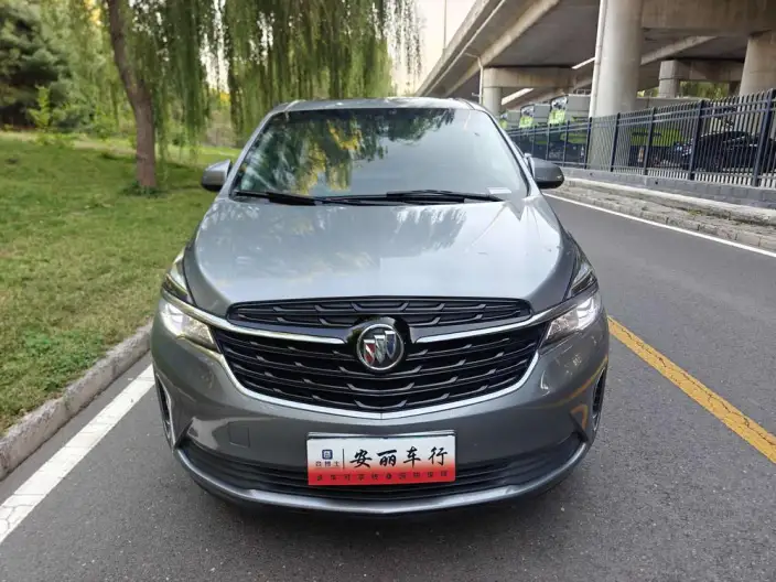 Buick GL8 2022 Model Business class 652T Luxury Model – фото 2