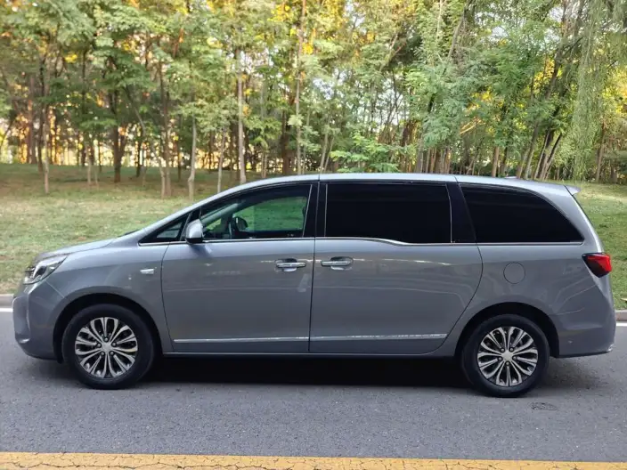 Buick GL8 2022 Model Business class 652T Luxury Model – фото 4