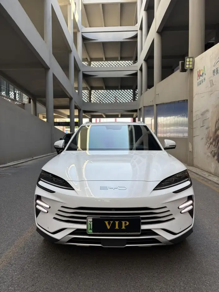 BYD Song PLUS DM 2023 Model DM-i Champion Edition 110KM Flagship Model – фото 2