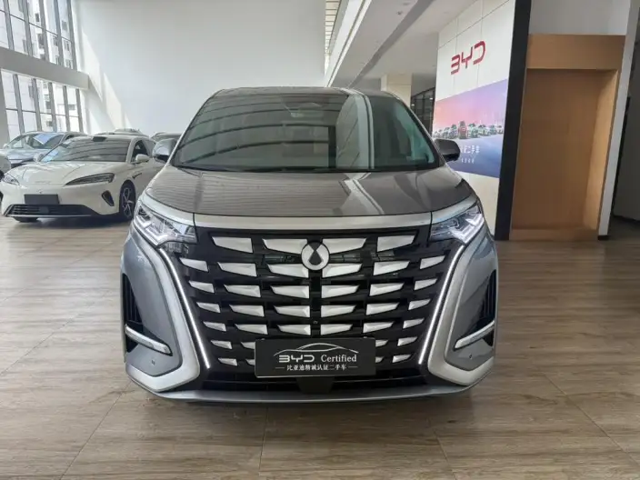 DENZA D9 DM 2022 Model 970 4WD Flagship Model – фото 2