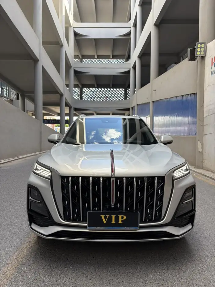 Hongqi HS5 2023 Model 2.0T Flag Xiang Pro Edition – фото 2