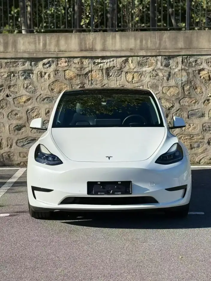 Model Y 2022 Model Facelift Rear-wheel drive version – фото 2