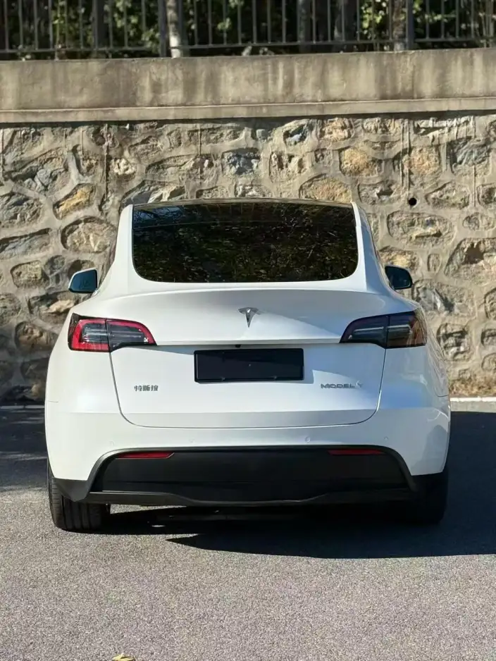 Model Y 2022 Model Facelift Rear-wheel drive version – фото 5