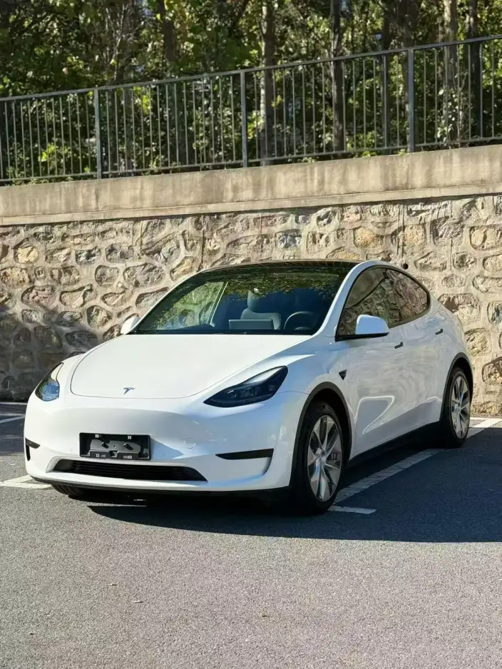 Model Y 2022 Model Facelift Rear-wheel drive version – фото 10