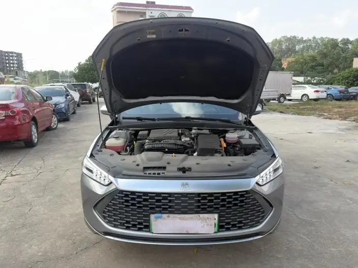 BYD Qin PLUS DM 2024 Model Honor Edition DM-i 55KM Leading Model – фото 8