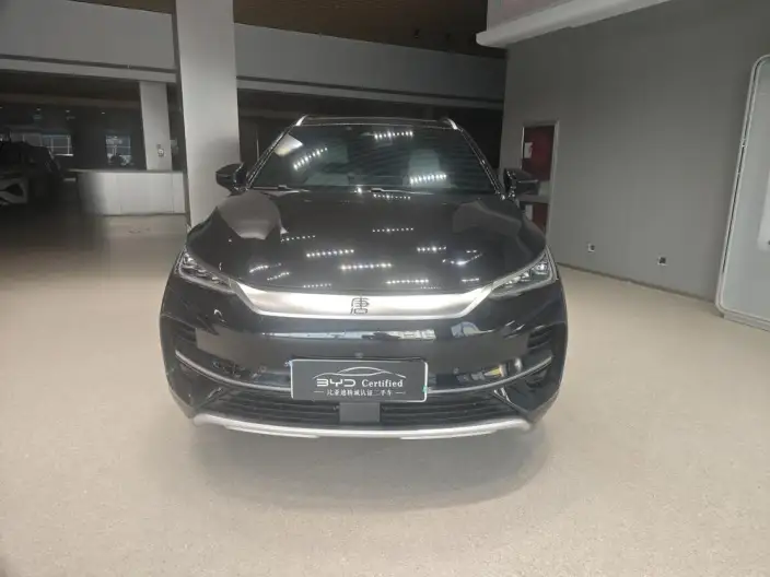 BYD Tang EV 2022 Model 730KM Exclusive Model – фото 2