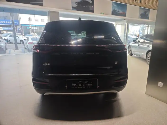 BYD Tang EV 2022 Model 730KM Exclusive Model – фото 6