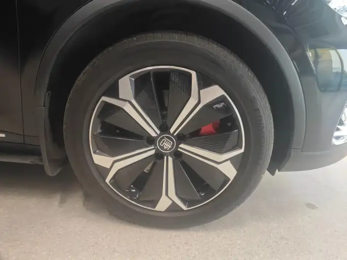 BYD Tang EV 2022 Model 730KM Exclusive Model – фото 7