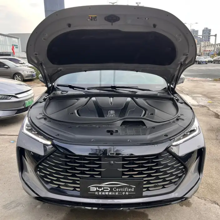 BYD Tang DM 2025 Model Smart Driving Edition DM-i 175KM Zunrong Model – фото 2