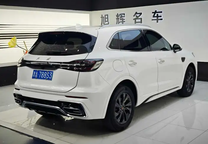 Hongqi HS5 2023 Model 2.0T Flag Xiang Pro Edition – фото 6